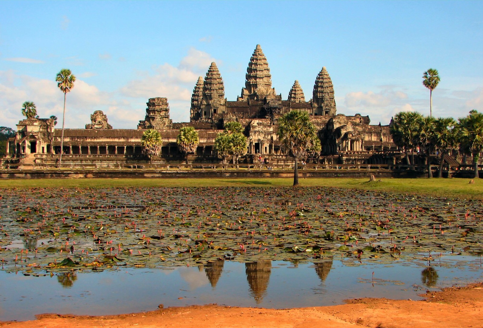 Angkor Wat's five towers reflected in the lily-covered moat, framed by sugar palms